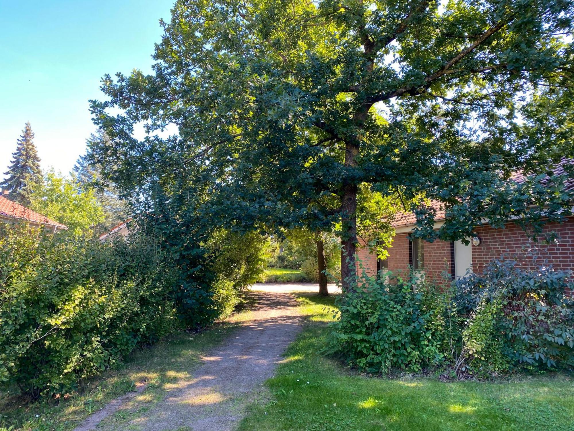 Ferienhaus Wiesengefluester W10 - Mit Sauna, Kamin Und Garten Robel Exterior photo
